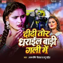 Didi Tohar Dharail Badi Gali Me