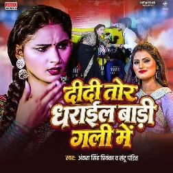 Didi Tohar Dharail Badi Gali Me (Antra Singh Priyanka, Santu Pandit)