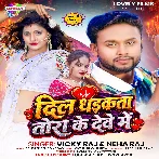 Dil Dhadkata Tora Ke Deve Me (Vicky Raj , Neha Raj)