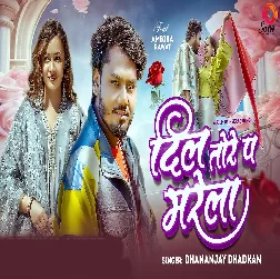 Dil Tore Pa Marela (Dhananjay Dhadkan)