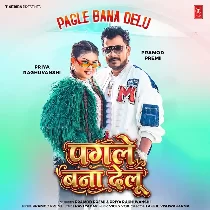 Ae Rani Ho Tu Pagle Bana Delu