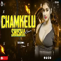 Chamkelu Sisa Jaisan Love Official Mix Dj Rj