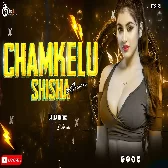 Chamkelu Sisa Jaisan Love Official Mix Dj Rj