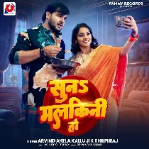 Dali Nimak Dalalu Sabji Me Chini Ho