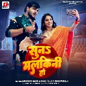 Dali Nimak Dalalu Sabji Me Chini Ho