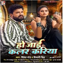 Ho Jaai Color Kariya Saiya Kitchan Me Screen Ke