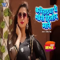 Karihaiya A Gori Hilor Mare Dj Remixby Dj Ravi