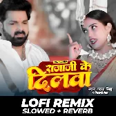 Raja Ji Ke Dilwa (Lo Fi Mix)