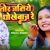 Tor Jatiye Dhokhebaj Re