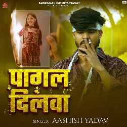 Pagal Dilwa (Aashish Yadav)