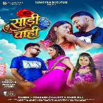 Sadi Chahi