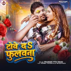 Towe Da Fulauna (Pradeshi Piya Yadav)